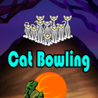 Cat Bowling