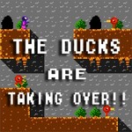 The Ducks Are Taking Over!!