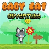 Baby Cat Adventure
